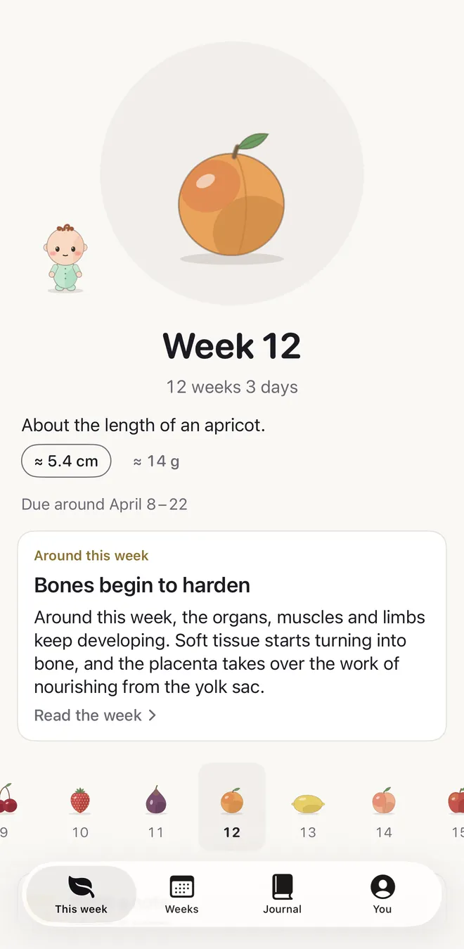Deno's This week screen in pregnancy: a drawn apricot, Week 12, 12 weeks 3 days, About the length of an apricot, due around April 8 to 22, and a card titled Bones begin to harden, with a strip of fruits for the weeks around it.
